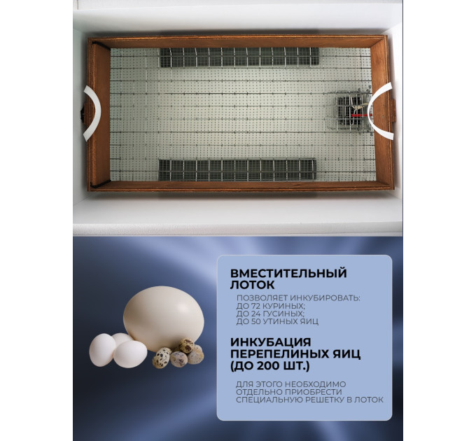 Инкубаторы для яиц