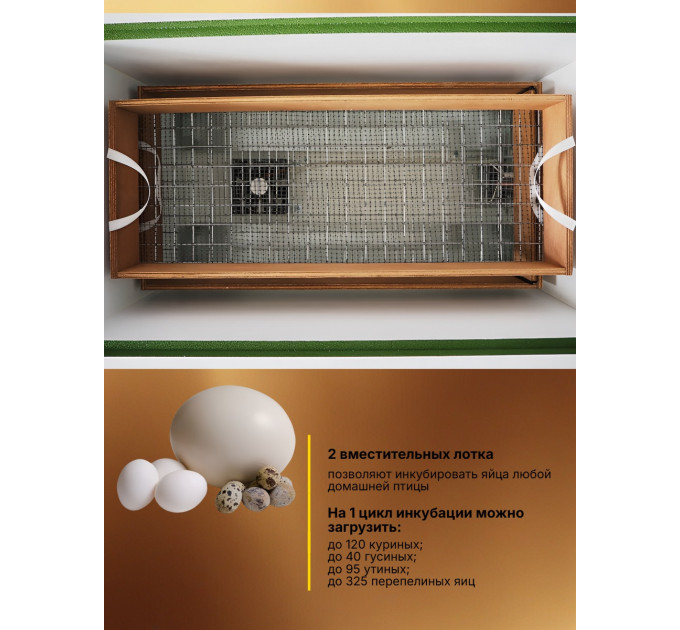 Инкубаторы для яиц