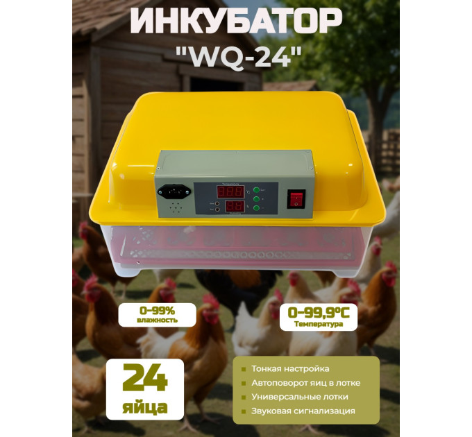 Инкубатор автоматический WQ-24 фото