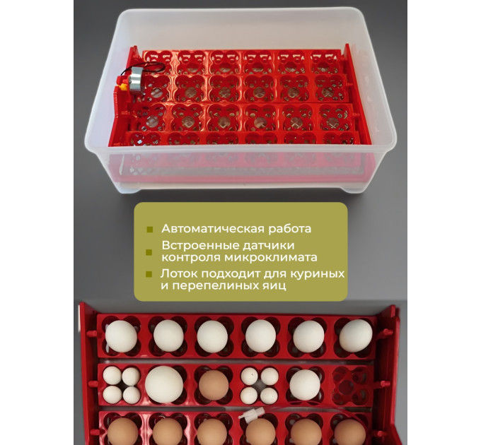 Инкубаторы для яиц