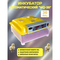 Инкубатор автоматический WQ-36