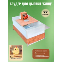 Брудер для цыплят Блиц разборный (77 птенцов)