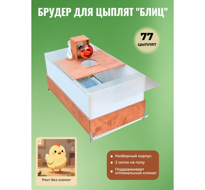 Брудер для цыплят Блиц разборный (77 птенцов) фото