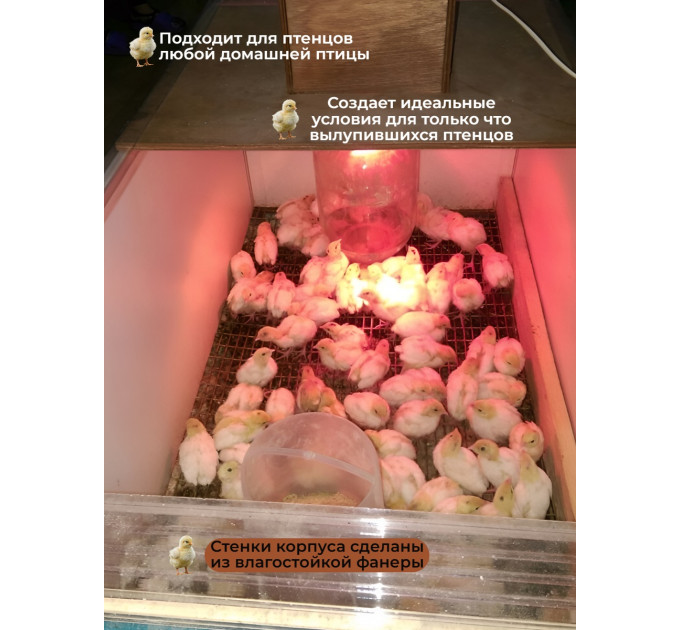 Инкубаторы для яиц