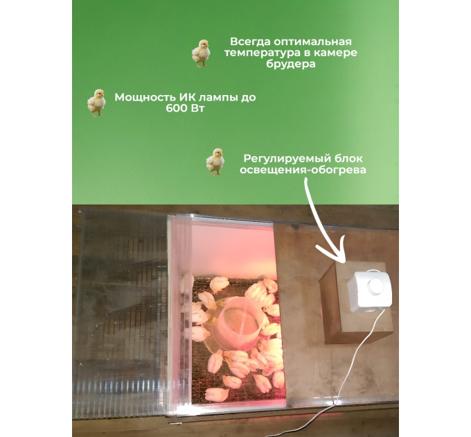 Инкубаторы для яиц