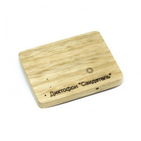 Диктофон цифровой "Свидетель"