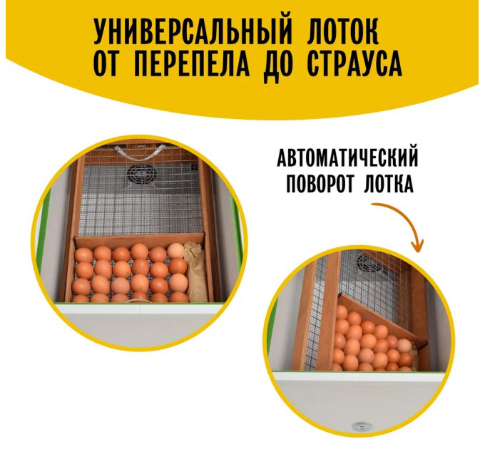 Инкубаторы для яиц