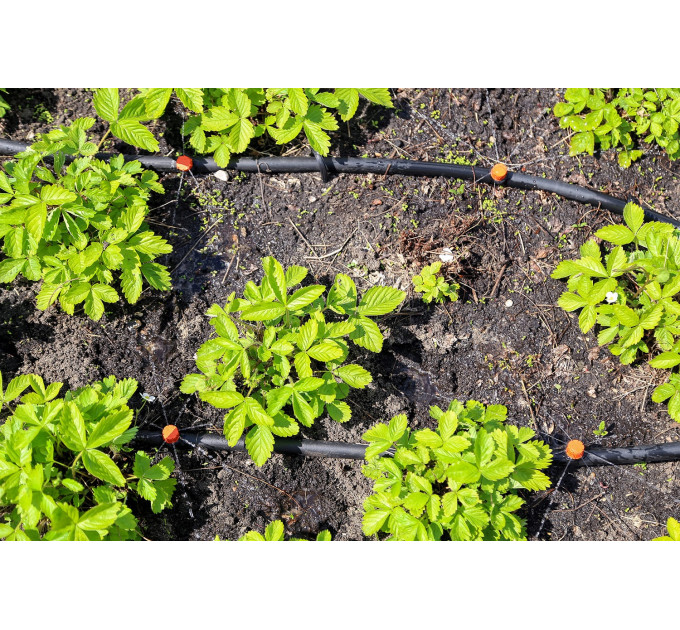 Системы капельного полива