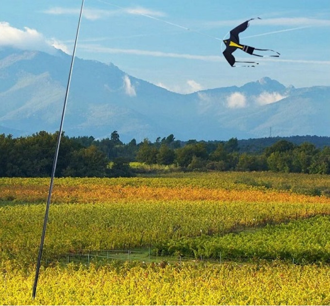 Отпугиватели птиц