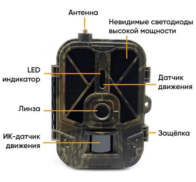 Фотоловушки