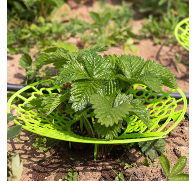 Системы капельного полива