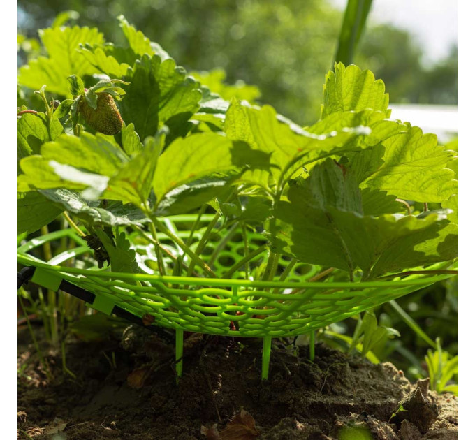 Системы капельного полива