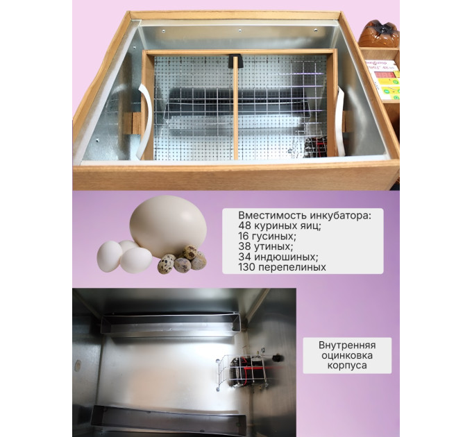 Инкубаторы для яиц