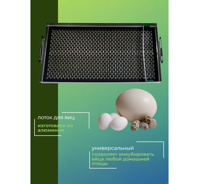 Инкубаторы для яиц
