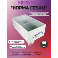 Инкубатор выводной Норма СЕЗАМ