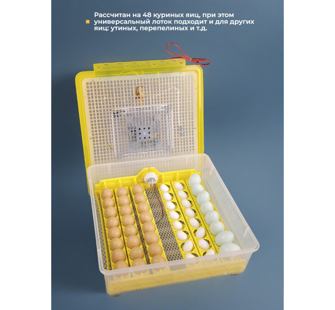 Инкубаторы для яиц