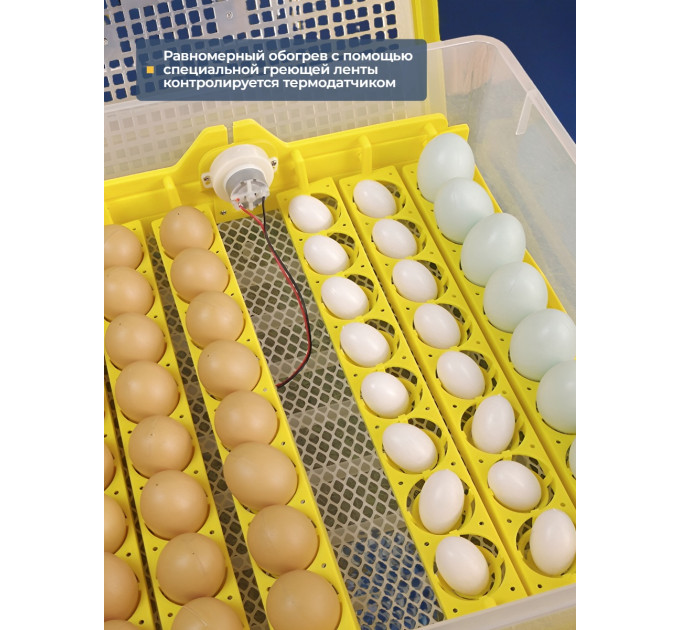 Инкубаторы для яиц