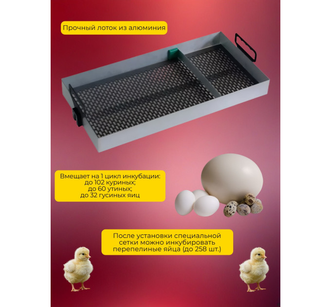 Инкубаторы для яиц