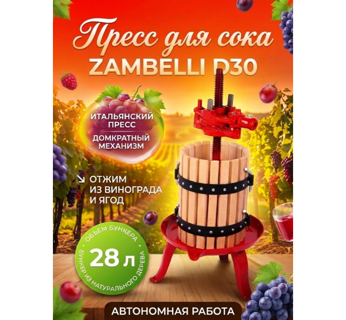 Пресс для отжима сока "Zambelli D30" домкратный, 28 л фото