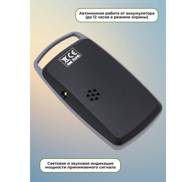 Детекторы жучков (антижучки)