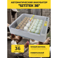 Автоматический инкубатор "SITITEK 36" с универсальными лотками Автоматический инкубатор "SITITEK 36" с универсальными лотками