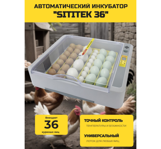 Автоматический инкубатор "SITITEK 36" с универсальными лотками фото