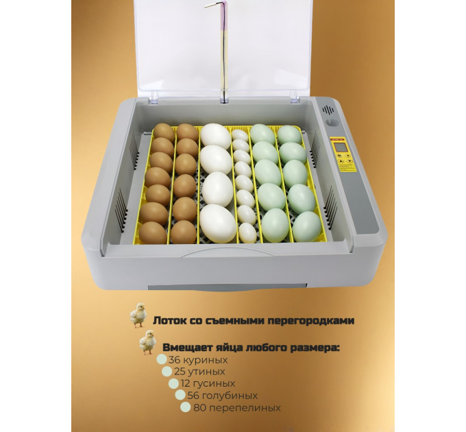 Инкубаторы для яиц