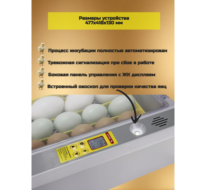 Инкубаторы для яиц