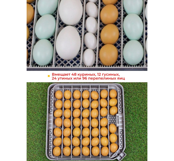 Инкубаторы для яиц