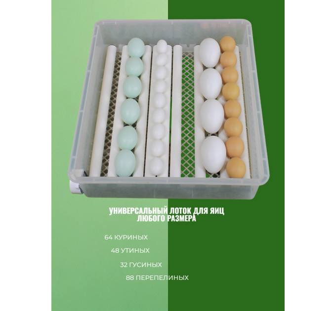 Инкубаторы для яиц