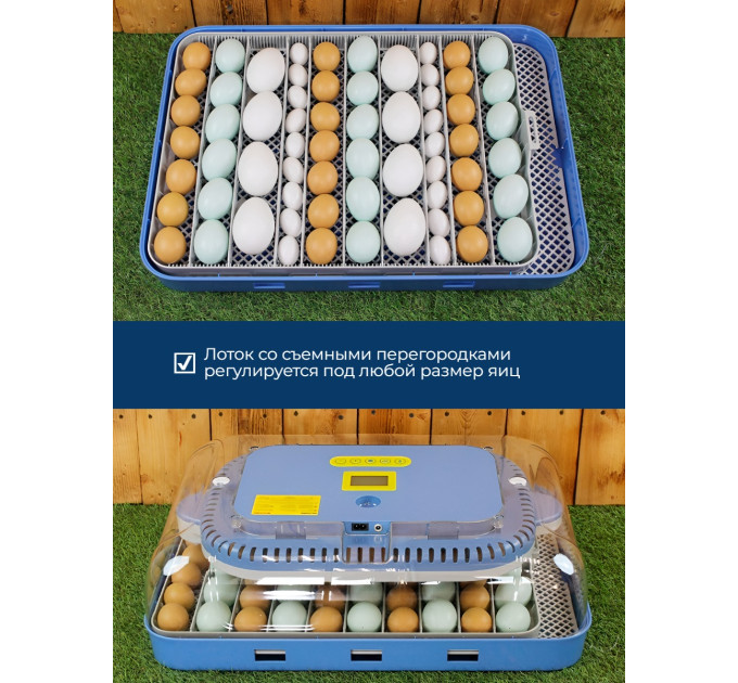 Инкубаторы для яиц