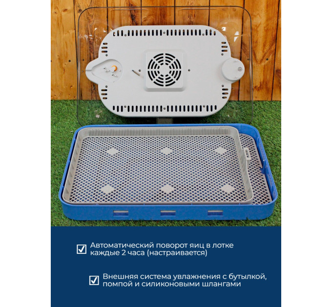 Инкубаторы для яиц