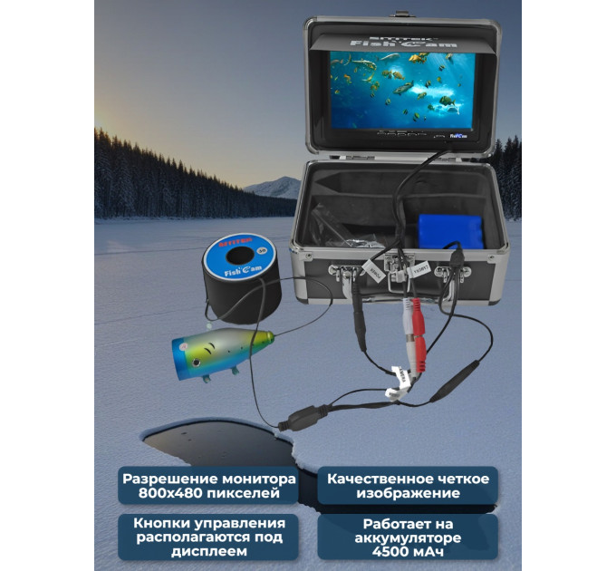 Учеба, хобби и спорт