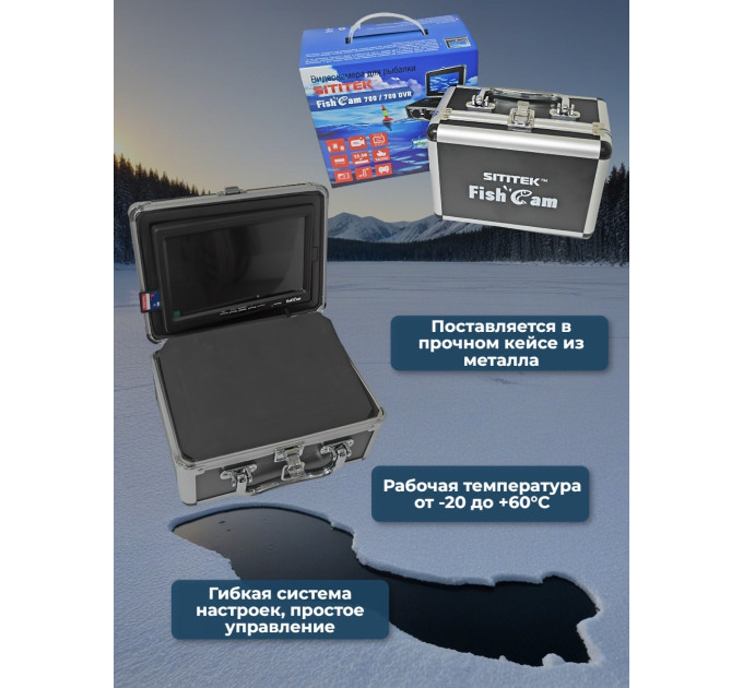 Учеба, хобби и спорт