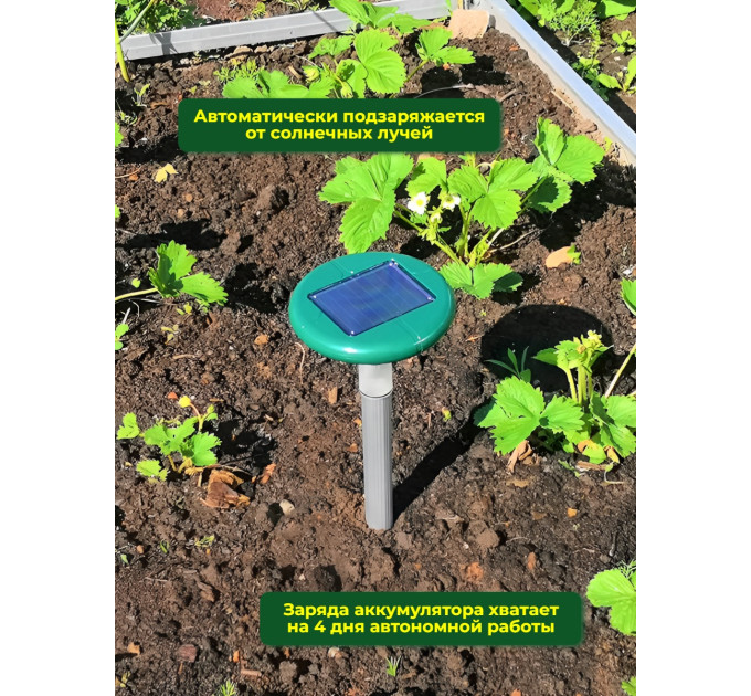 Хиты продаж