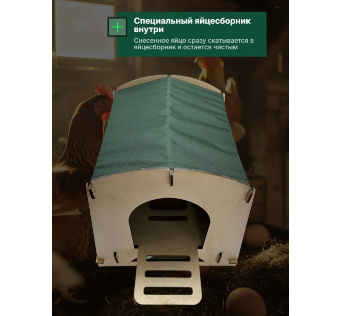 Инкубаторы для яиц