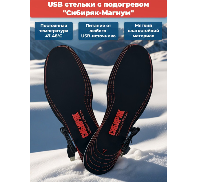 USB Стельки с подогревом "Сибиряк-Магнум", р.38-46 фото