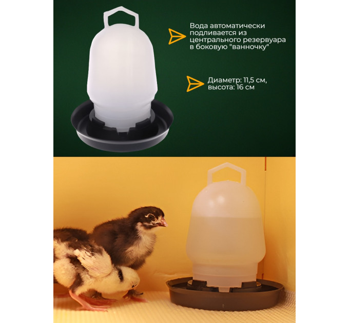 Инкубаторы для яиц