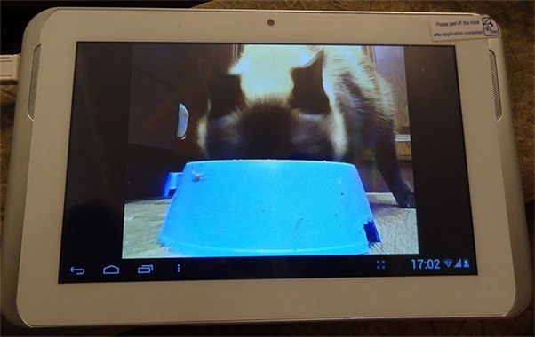 Наблюдение можно вести на ЖК-экране любого размера (на ваше усмотрение) — так как монитором для видеоняни служат устройства на базе iOS