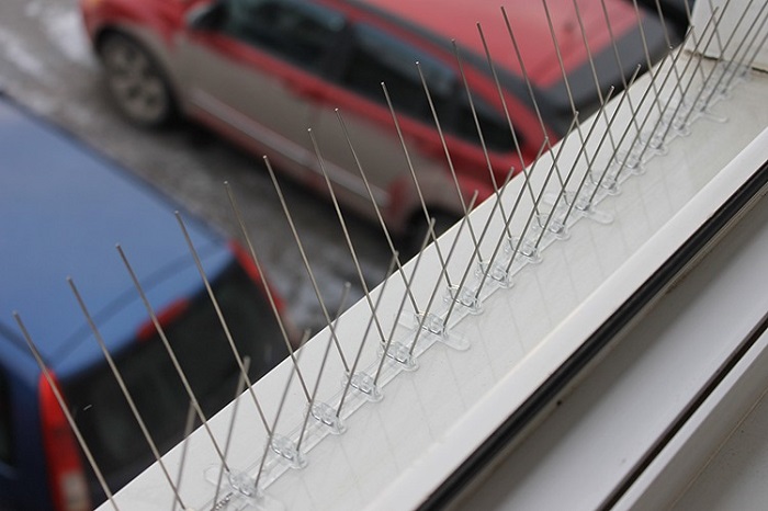 Противоприсадные шипы от птиц SITITEK Барьер-Премиум 2С