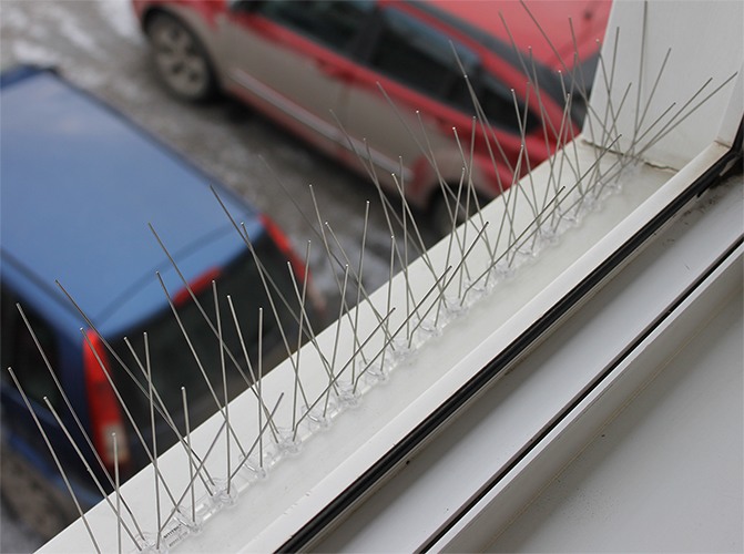 Противоприсадные шипы от птиц SITITEK Барьер-Премиум 5С