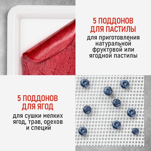 Сушилка для фруктов с WI-FI CHEF PRO CF-FD808A