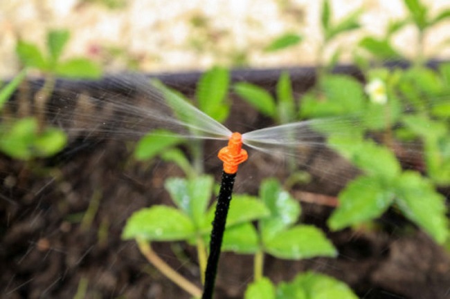 Дождевой полив для грядок ЖУК