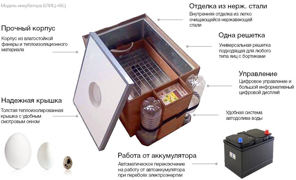 Какой Инкубатор Лучше Купить Отзывы Форум