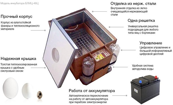 Блиц-48 цифровой — отличный инкубатор за умеренные деньги