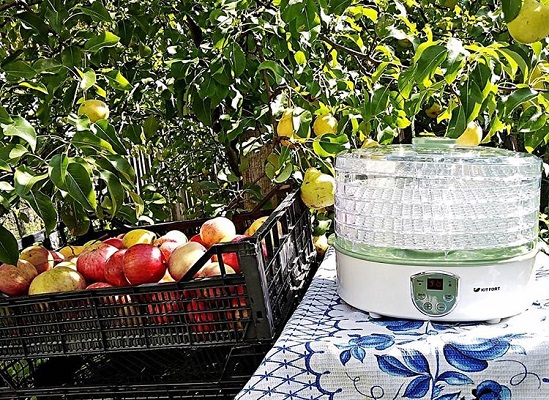 Электрическая сушилка для фруктов и овощей Kitfort 