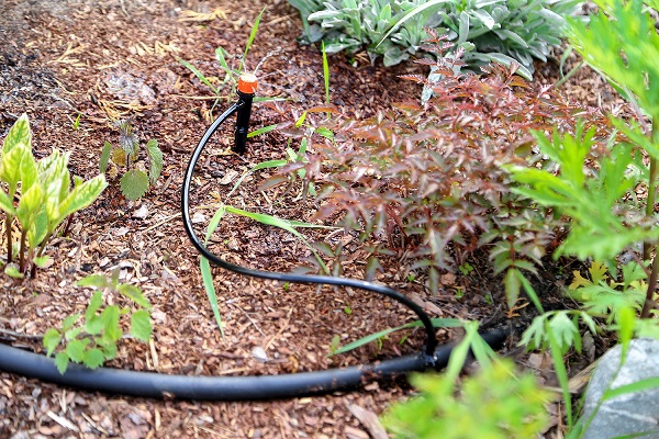 Микродождевой полив кустарников и деревьев Жук