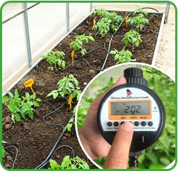 Система капельного автополива Синьор Помидор ПРО с шаровым таймером (с жк-дисплеем&nbsp;на 8 программ, на 72 растения)