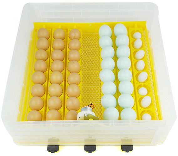 Инкубатор для яиц SITITEK 96 цифровой автоматический