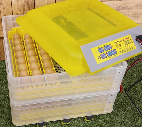 Инкубатор для яиц SITITEK 96 цифровой автоматический